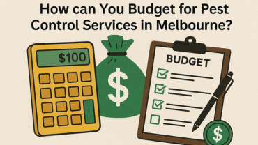 How can You Budget for Pest Control Services in Melbourne