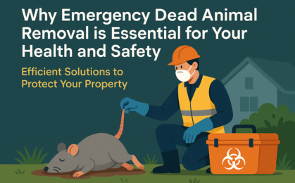 emergency dead animal removal
